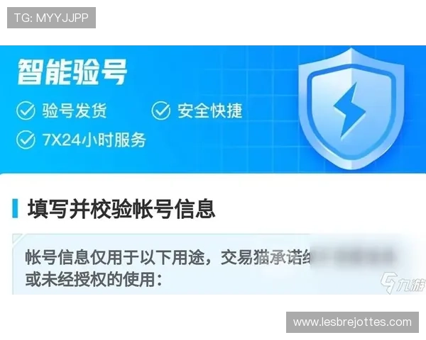 九游登录中心官网安全登录技巧与账号保护措施，保障玩家个人信息安全